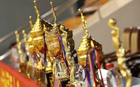 “帅白龙”罗超连克四强，豪取全国自由搏击锦标赛冠军！